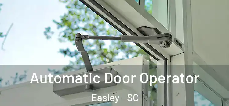  Automatic Door Operator Easley - SC
