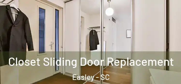  Closet Sliding Door Replacement Easley - SC