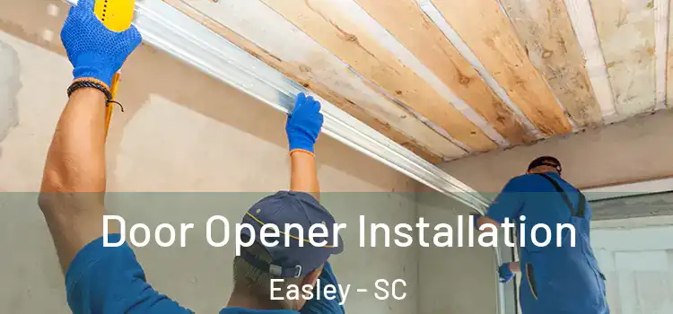 Door Opener Installation Easley - SC