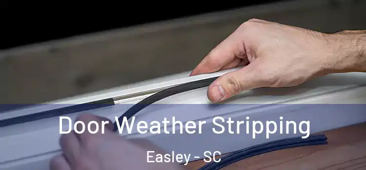  Door Weather Stripping Easley - SC