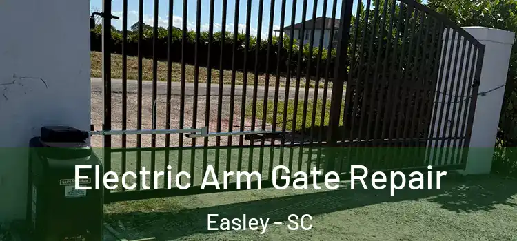  Electric Arm Gate Repair Easley - SC