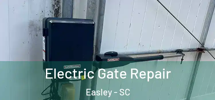  Electric Gate Repair Easley - SC