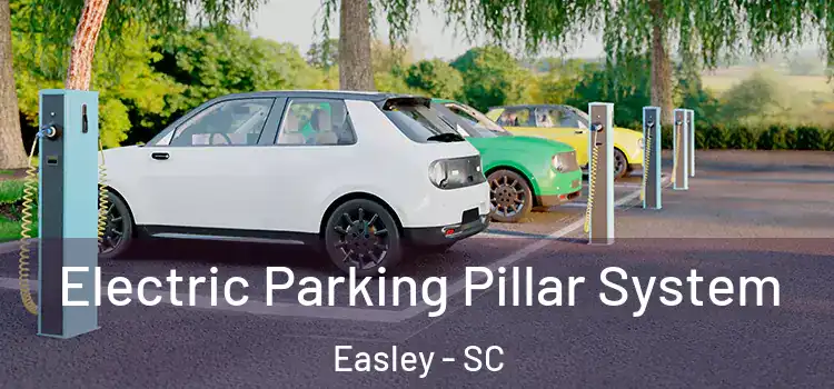  Electric Parking Pillar System Easley - SC