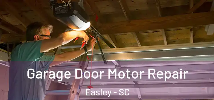  Garage Door Motor Repair Easley - SC