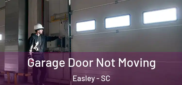  Garage Door Not Moving Easley - SC
