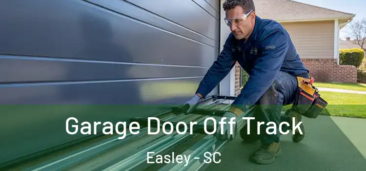  Garage Door Off Track Easley - SC