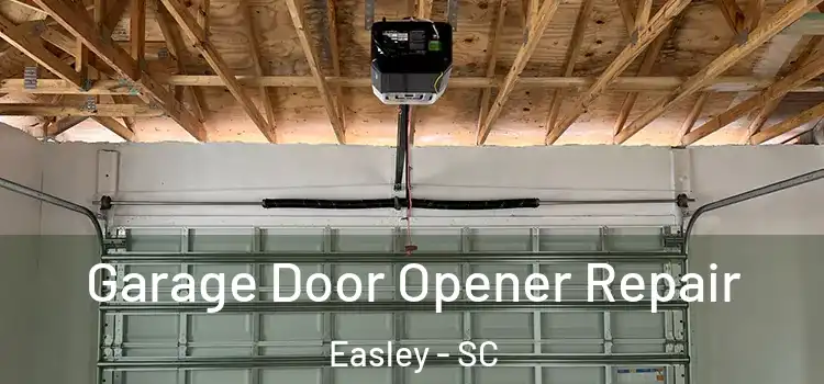  Garage Door Opener Repair Easley - SC