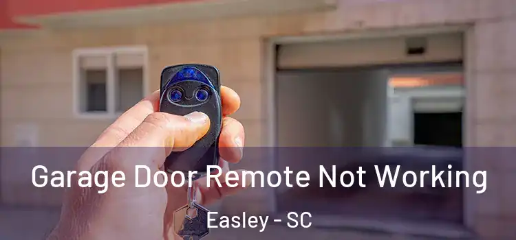  Garage Door Remote Not Working Easley - SC
