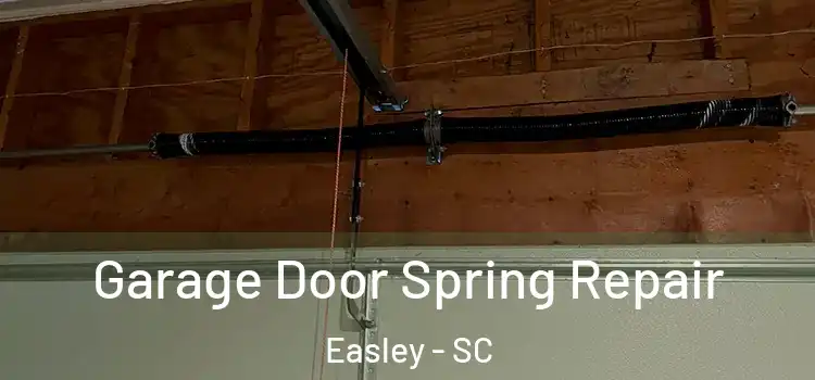  Garage Door Spring Repair Easley - SC