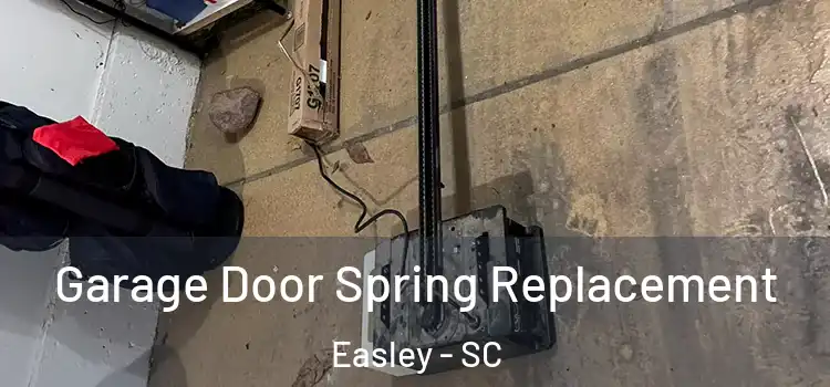  Garage Door Spring Replacement Easley - SC