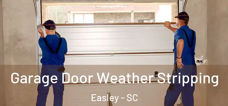  Garage Door Weather Stripping Easley - SC