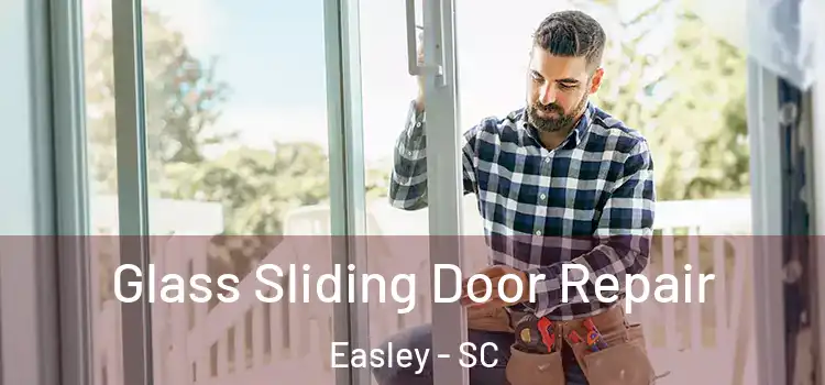  Glass Sliding Door Repair Easley - SC