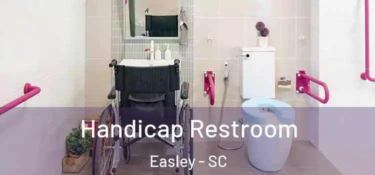  Handicap Restroom Easley - SC