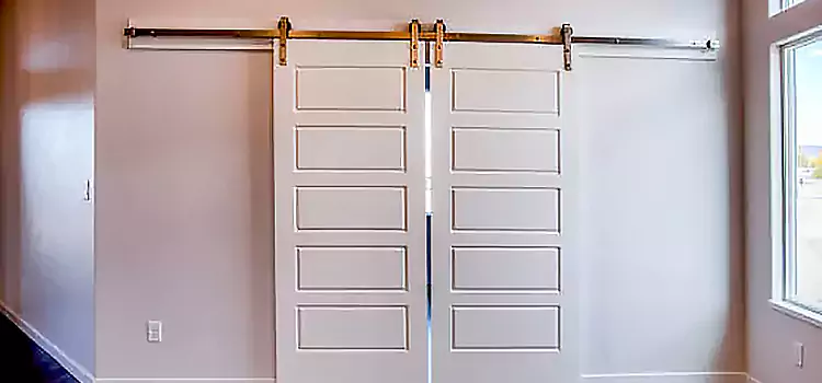 Glass Barn Door with Installation Hardware Kit Easley