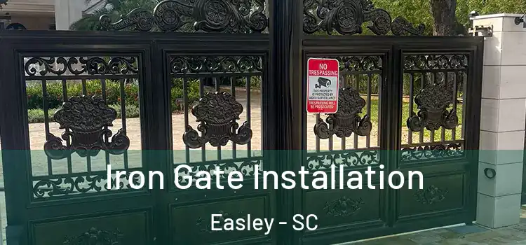  Iron Gate Installation Easley - SC