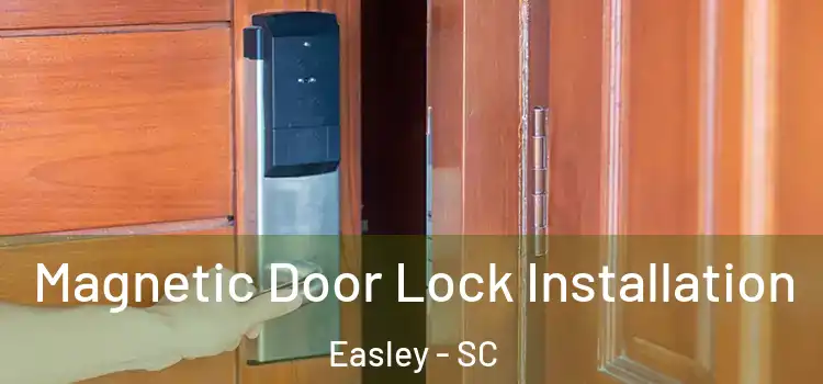  Magnetic Door Lock Installation Easley - SC