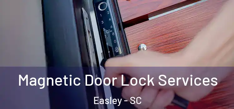  Magnetic Door Lock Services Easley - SC