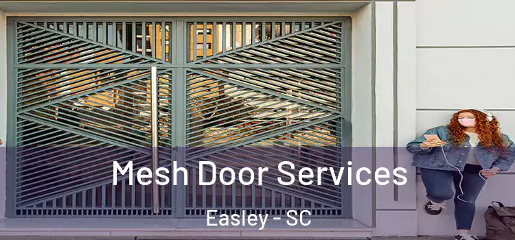  Mesh Door Services Easley - SC