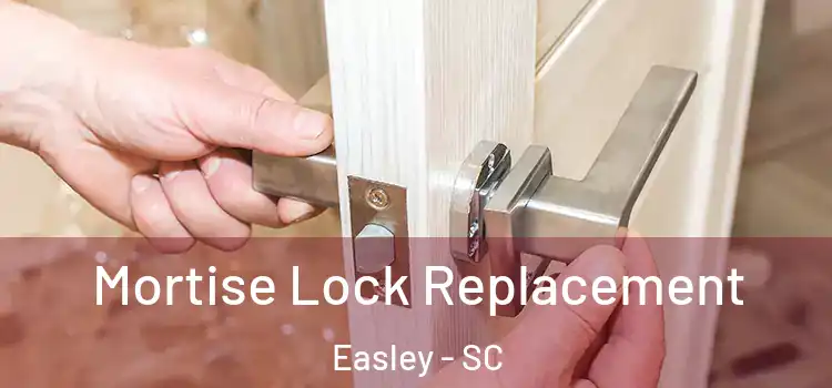  Mortise Lock Replacement Easley - SC