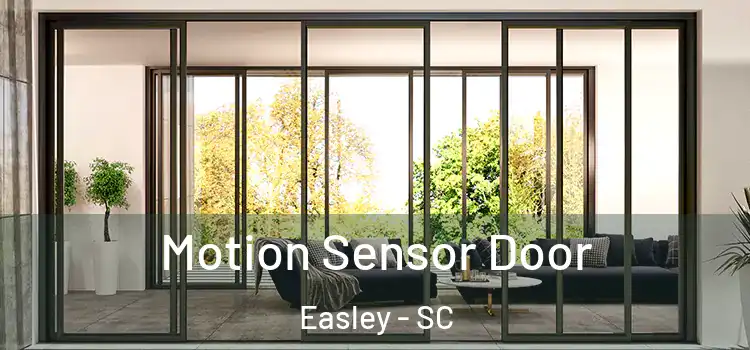  Motion Sensor Door Easley - SC
