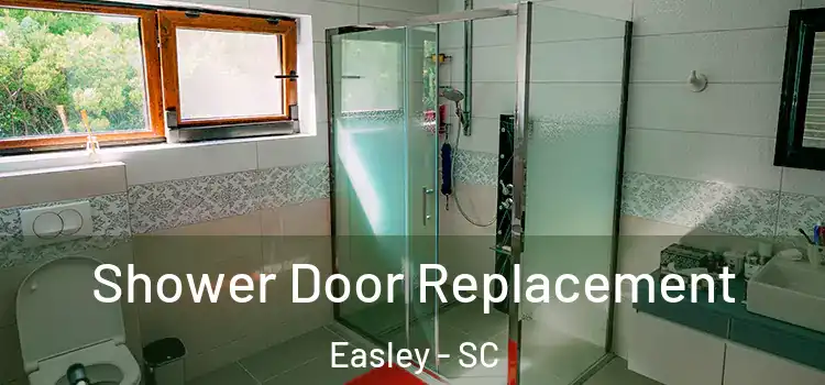  Shower Door Replacement Easley - SC