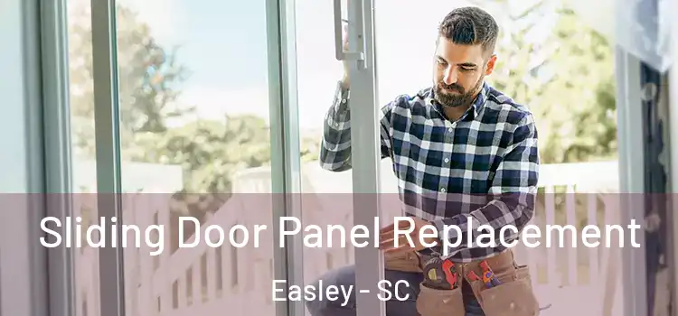  Sliding Door Panel Replacement Easley - SC